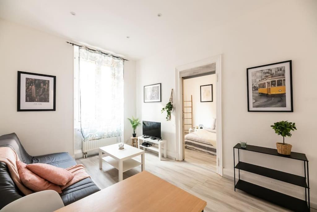 Appartement Entierement Renove Et Cosy Avec Jardin Mulhouse Buitenkant foto